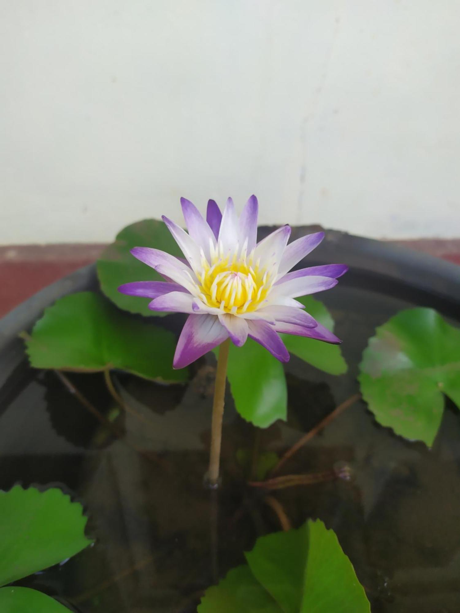 Leisure In กอลล์ ภายนอก รูปภาพ