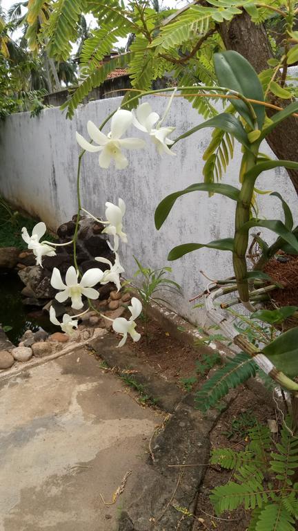 Leisure In กอลล์ ภายนอก รูปภาพ