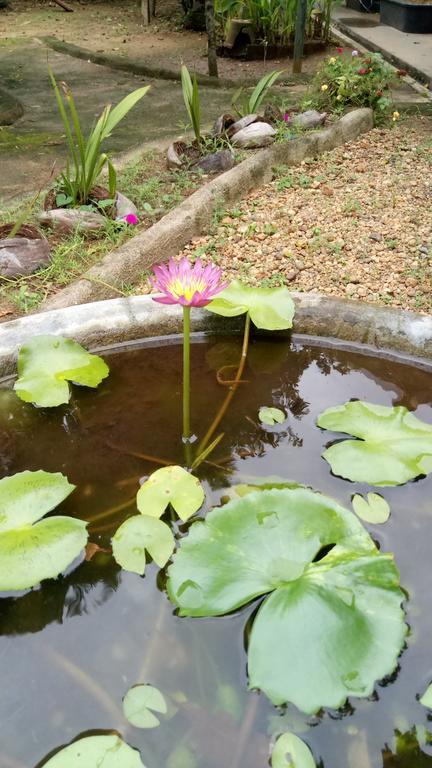 Leisure In กอลล์ ภายนอก รูปภาพ
